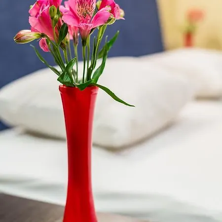 Lejlighedshotel Fedkovycha 3*