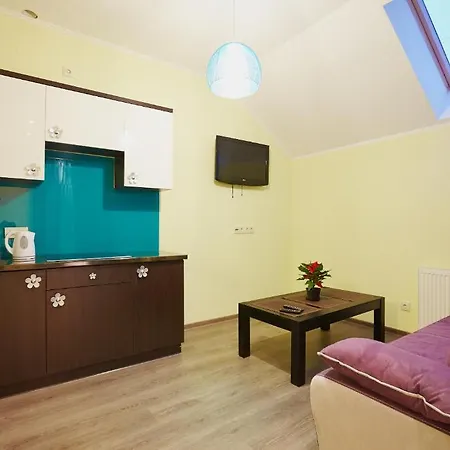 Lägenhetshotell Fedkovycha Lviv