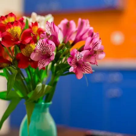 Lägenhetshotell Fedkovycha 3*