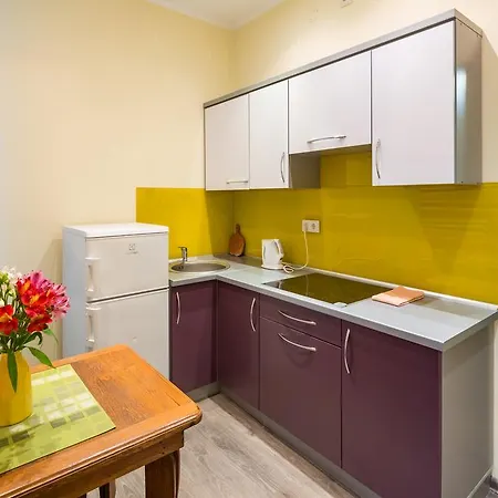 Lägenhetshotell Fedkovycha Lviv